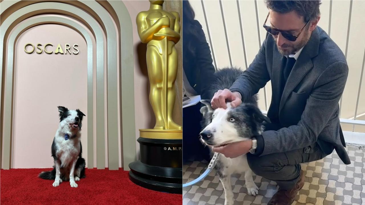 Le chien d'Anatomie d'une chute sera-t-il aux Oscars ?